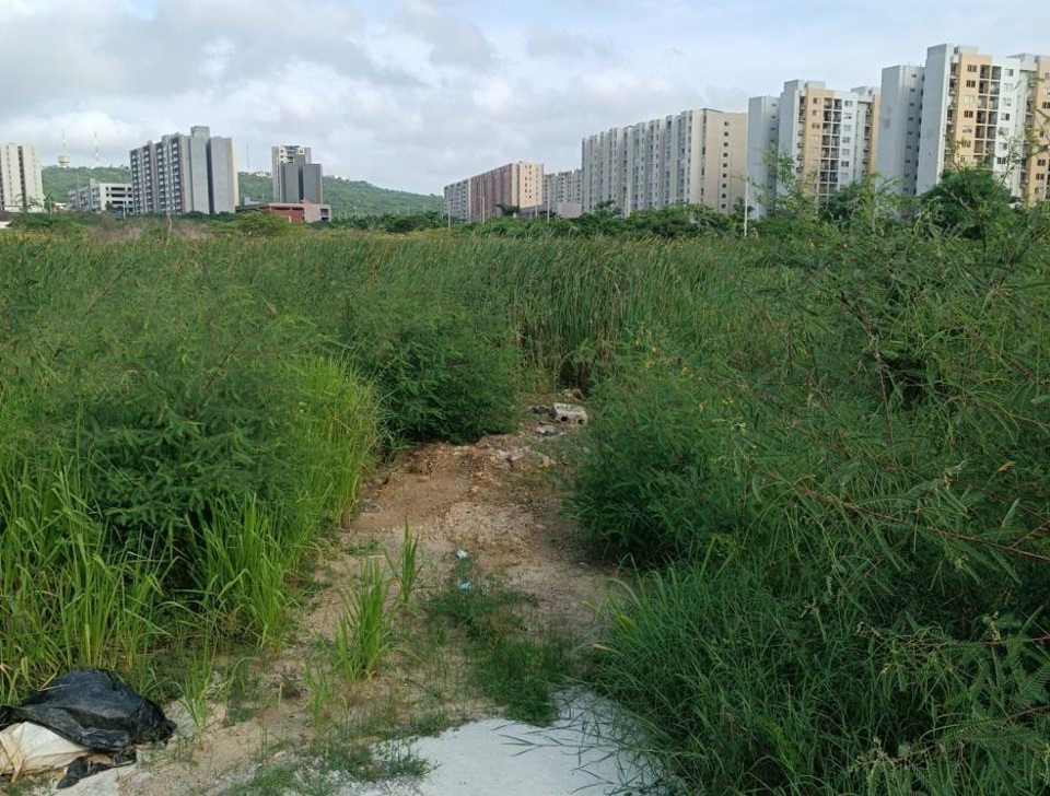 Medida a Amarilo por humedal de Alameda 5