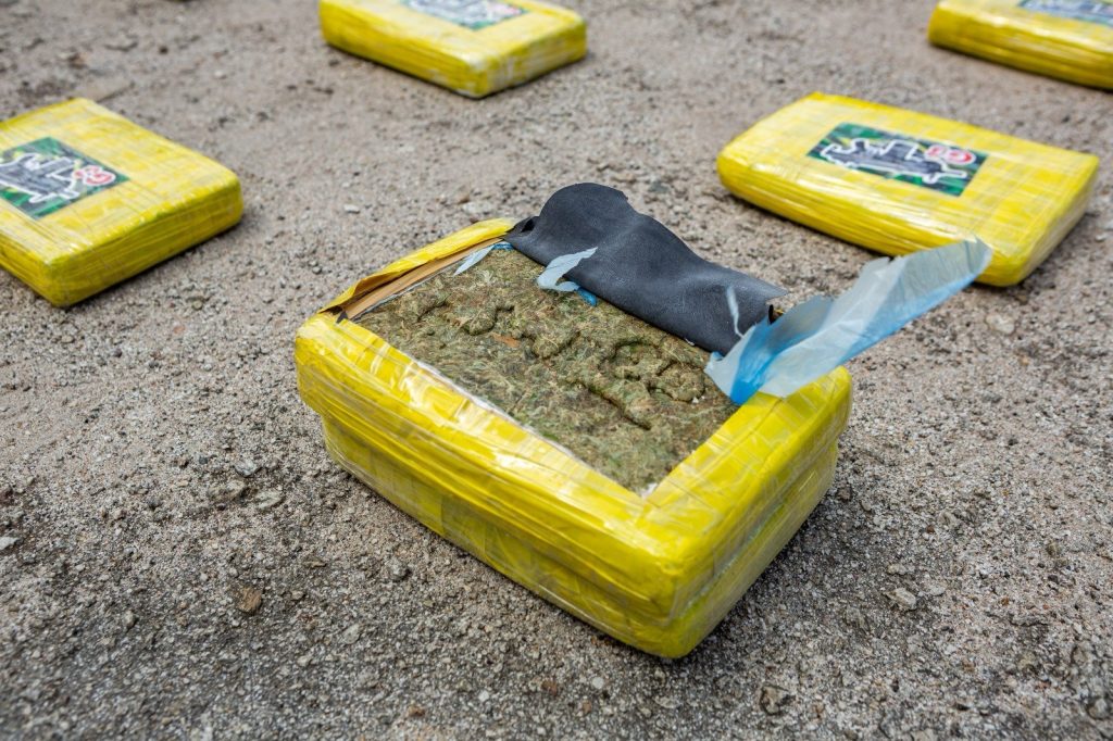 Incautan cerca de dos toneladas de marihuana en el sur del país que pretendían sacar al Perú y Brasil 3 Gpyd0D7W4AA9e1e