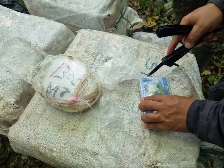 Golpe certero al narcotráfico en Casanare: Ejército y Fuerza Aérea desmantelan escondite del Clan del Golfo 2 b35104c6 0b58 440a bedd 7f4eb3f6748c
