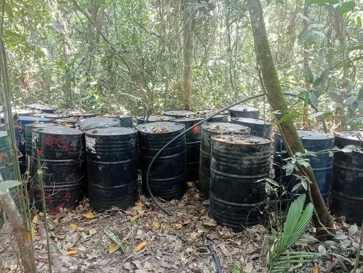 Golpe certero al narcotráfico en Casanare: Ejército y Fuerza Aérea desmantelan escondite del Clan del Golfo 1 c48f71d1 b993 439e 99db 0ed0a4ea2bde