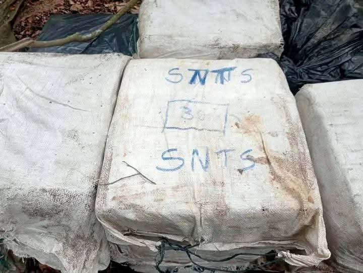 Golpe certero al narcotráfico en Casanare: Ejército y Fuerza Aérea desmantelan escondite del Clan del Golfo 3 ec258105 26da 4f00 bf9e 11f414803c65