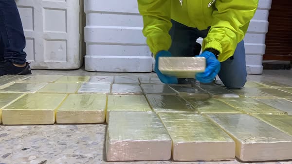 Golpe al crimen organizado en Barranquilla: Policía incauta arsenal y 208 kilos de cocaína del Clan del Golfo 6 500708560 1262726382521079 2808038499211763660 n
