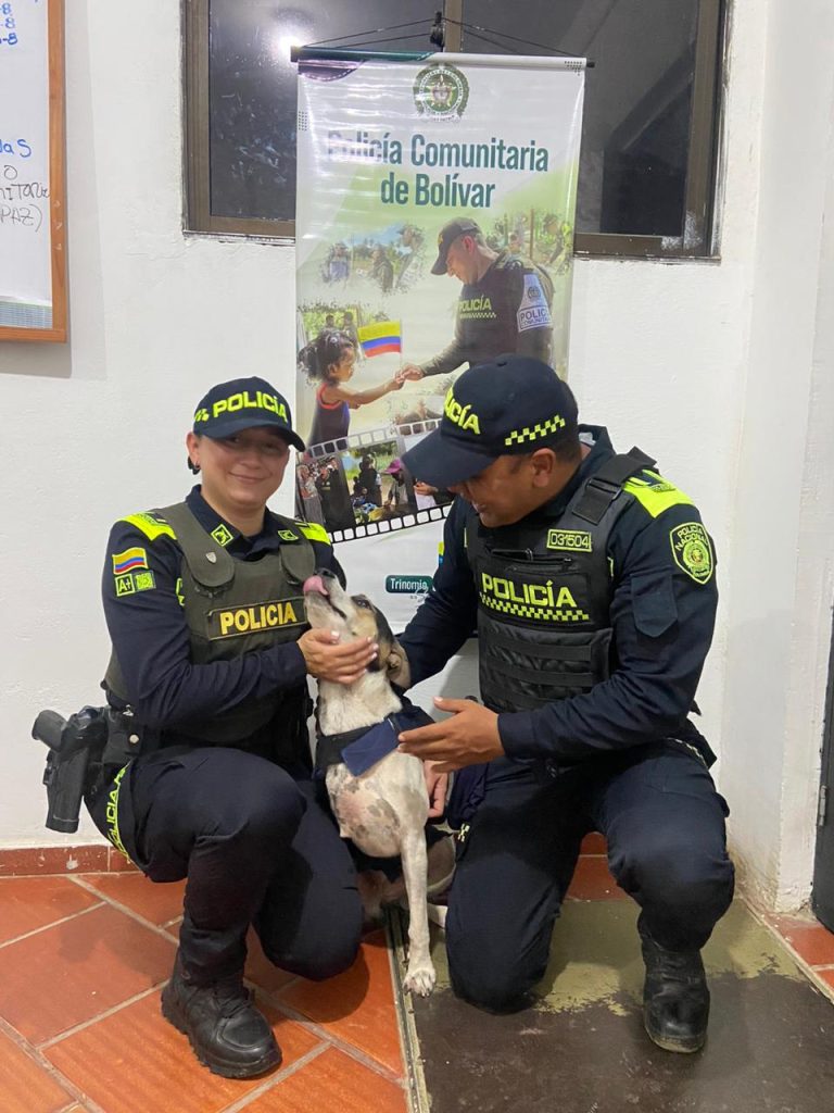 Pata herida, alma fuerte 1 955a4dda 06fa 42c1 bb74 d7cbabd0ce7e