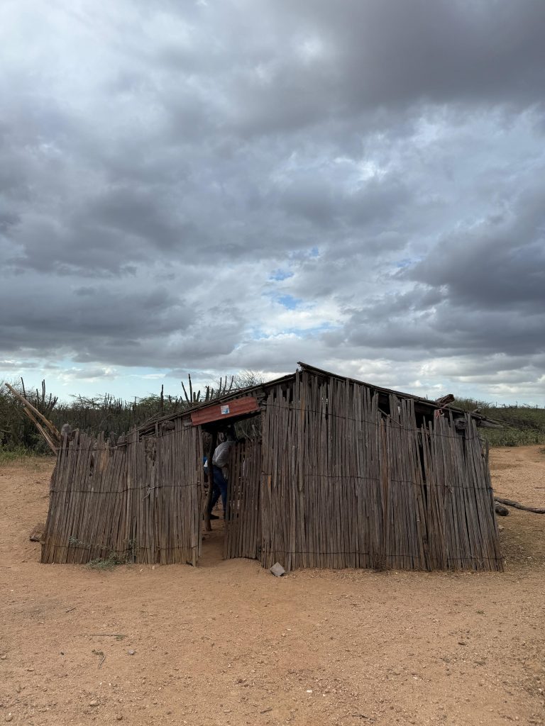 ‘Ichitki’: construyen 200 viviendas para comunidades Wayúu en La Guajira con enfoque cultural y sostenible 2 La Guajira