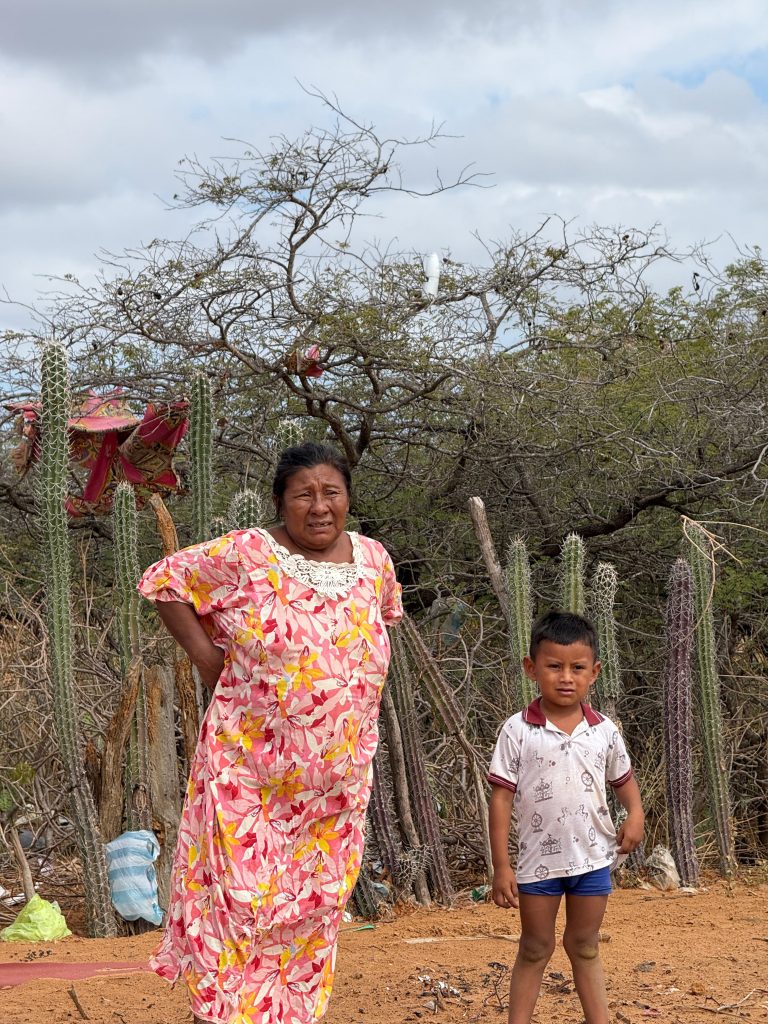 ‘Ichitki’: construyen 200 viviendas para comunidades Wayúu en La Guajira con enfoque cultural y sostenible 3 Wayuu