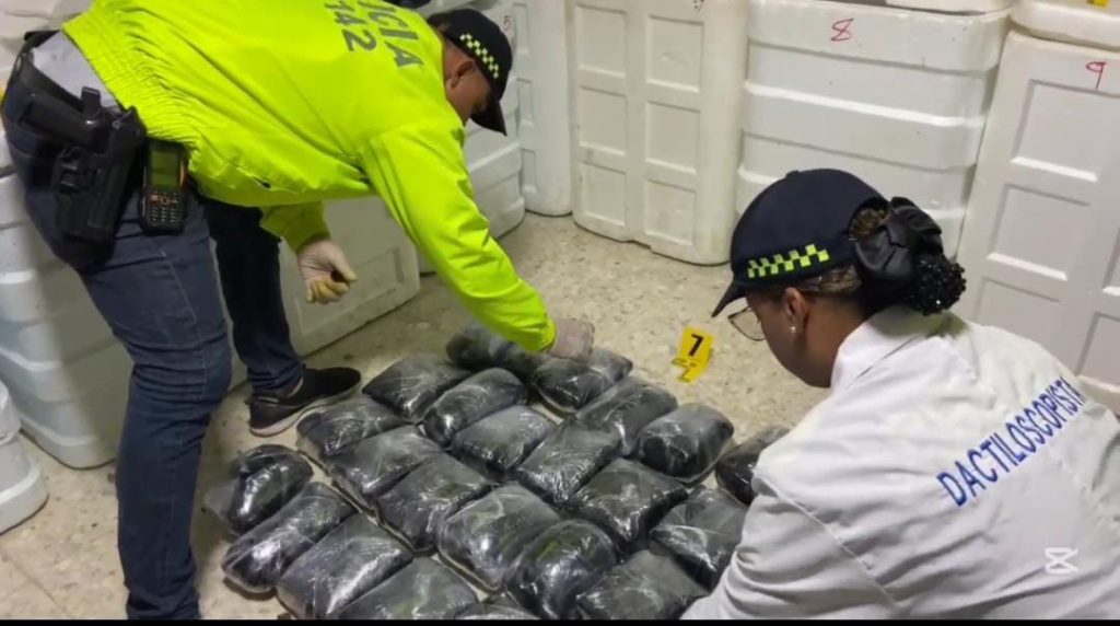 Golpe al crimen organizado en Barranquilla: Policía incauta arsenal y 208 kilos de cocaína del Clan del Golfo 9 af1083e0 f31e 499e 9e0b 0a2a864ea00f