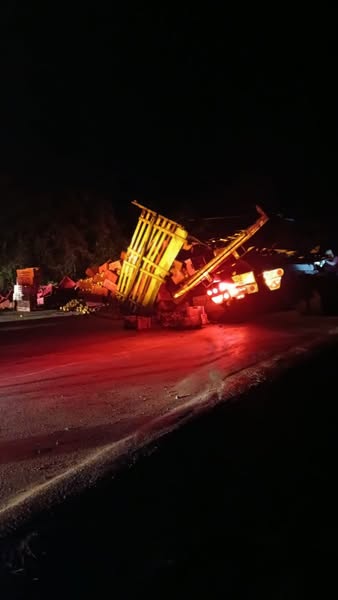 Tractomula cargada de mango se vuelca y bloquea vía El Carmen de Bolívar – Zambrano 5 504232856 678355398512002 3826790865935361782 n