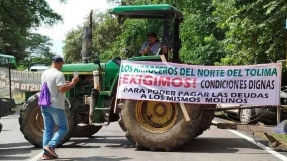 El arroz se planta en las carreteras: comienza el Paro Nacional Arrocero 1 515439641 1324164599718633 3726540289352315449 n