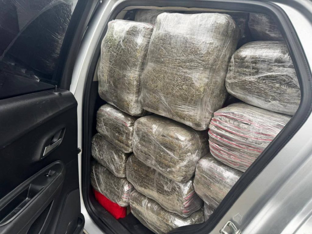Media tonelada de marihuana fue interceptada antes de llegar a Panamá 4 6a84230f ea88 44c7 ac1e cac25ad60083