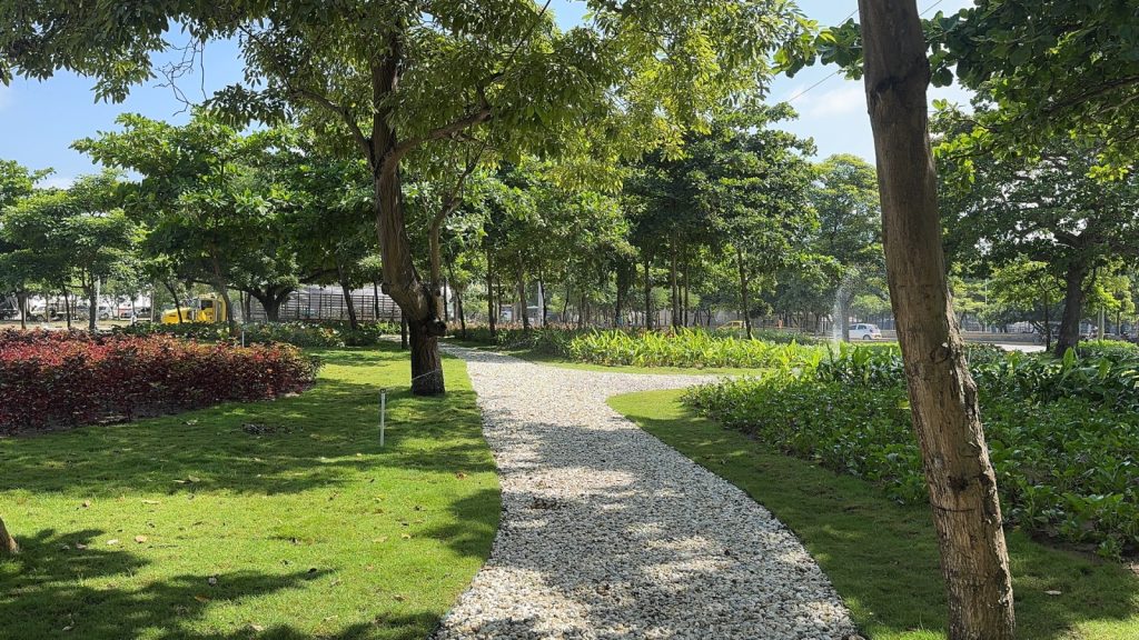 Barranquilla embellece su entrada sur con más de 5.200 m² de áreas verdes en la renovada rotonda de la calle 17 3 7342fc95 3df3 4579 9625 8e0e6d59ee86