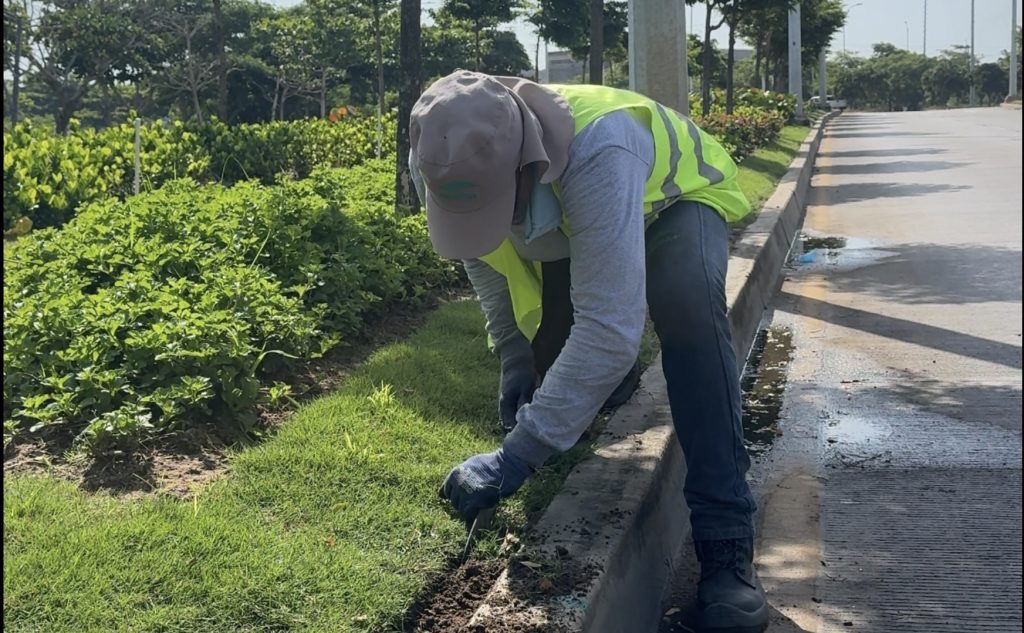 Más de 2.000 metros cuadrados reverdecen en el corredor portuario 1 Corredor portuario 1