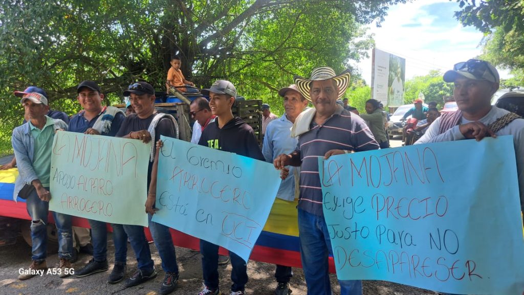 Se intensifica el Paro Arrocero en Colombia: aumentan bloqueos y no hay diálogo con el Gobierno 1 IMG 4