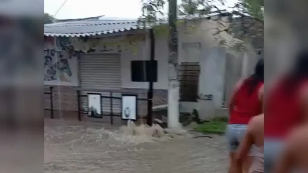 VIDEOS: “El agua se lo llevó todo”: desbordamiento de arroyo en Campeche deja a familias damnificadas 2 a5ac6819 c1df 4d7a 9e36 79d10d0950b2