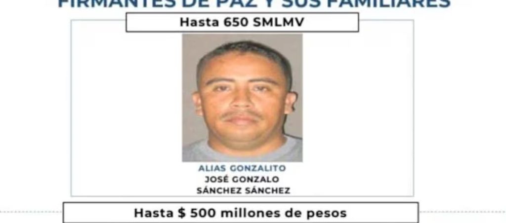 aliasgonzalito 0