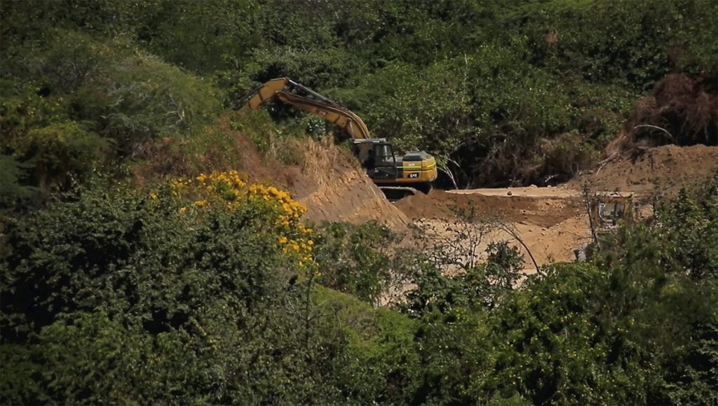 Bosque seco tropical bajo cemento: la herida silenciosa de Barranquilla 2 deforestacion baq