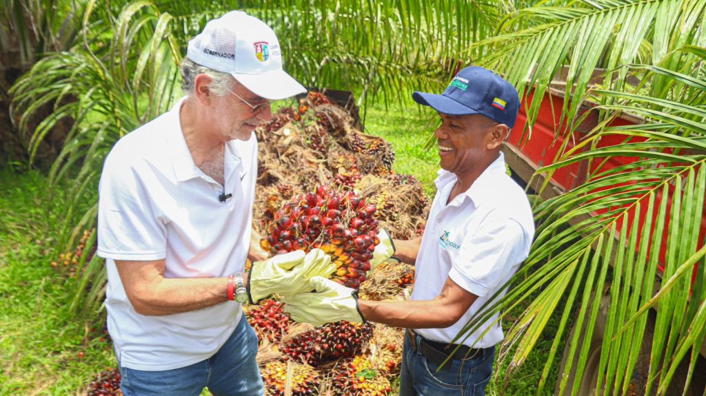 Gobernador Verano impulsa el agro a través de 2.062 hectáreas sembradas en palma, plátano y limón Tahití 3 0655c0d3 8b46 404c a98a fe65dff80f8a