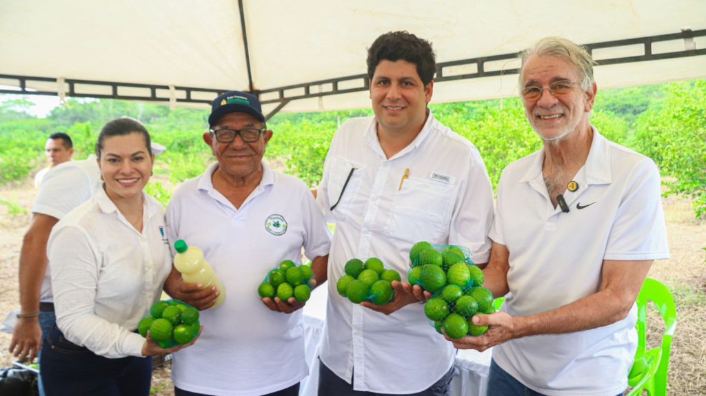 Gobernador Verano impulsa el agro a través de 2.062 hectáreas sembradas en palma, plátano y limón Tahití 1 394ae858 7356 4a16 982b 21abc17f396c