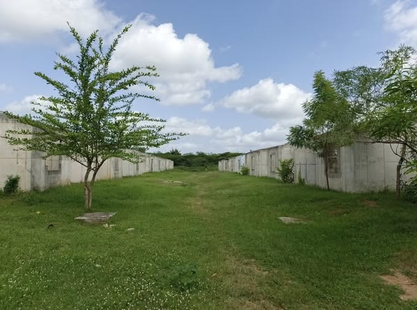 15 años después, familias damnificadas por la ola invernal de 2010 en Manatí siguen sin vivienda digna: casas prometidas quedaron abandonadas 2 536275769 122184408098303102 6383536731535478705 n