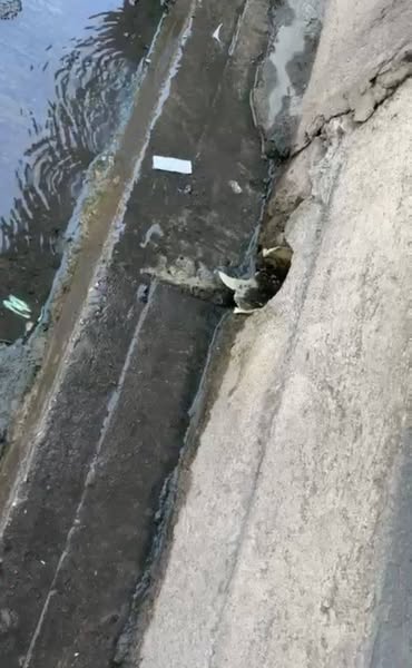 Aqualia advierte: el desperdicio de agua en Fundación y Aracataca sigue siendo crítico 4 537096713 784756217451931 3383791724670740063 n