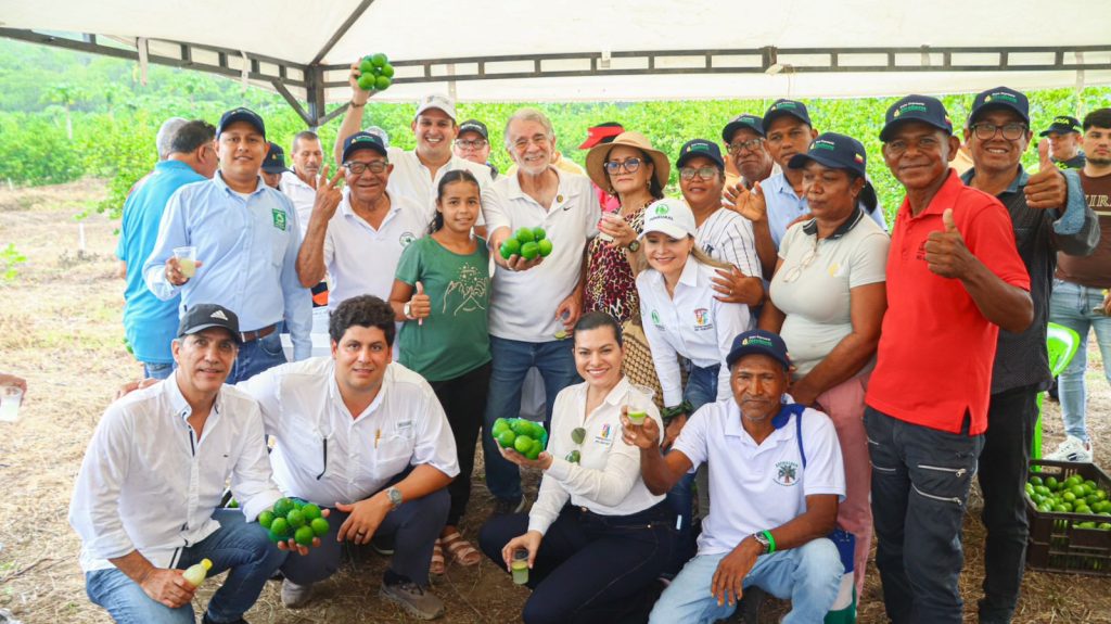 Gobernador Verano impulsa el agro a través de 2.062 hectáreas sembradas en palma, plátano y limón Tahití 2 c1a1dc9a deb4 40db 8caf 917fd4fedac0