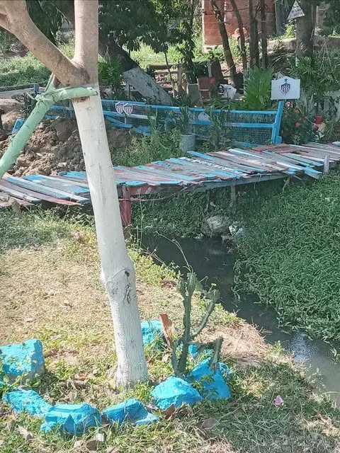 542372500 1310017543928128 6944654333231877381 n
