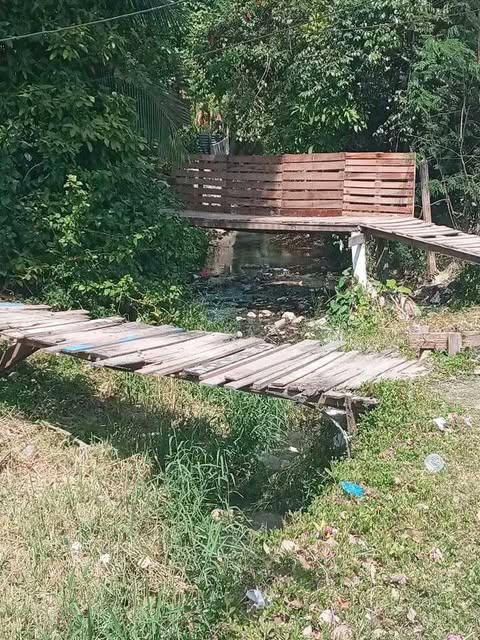 542943828 24488455444151234 3642009694623808843 n