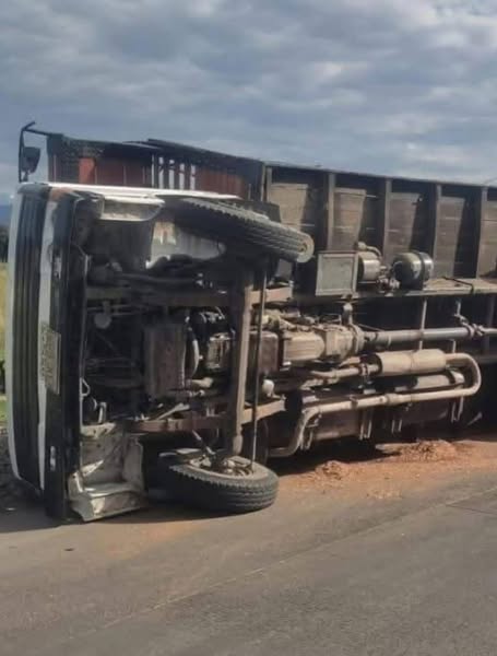 Caballos de 'El Tino' Asprilla se accidentan en vía hacia la Terminal de Tuluá 3 544367579 1555127185870025 7053770301059816412 n