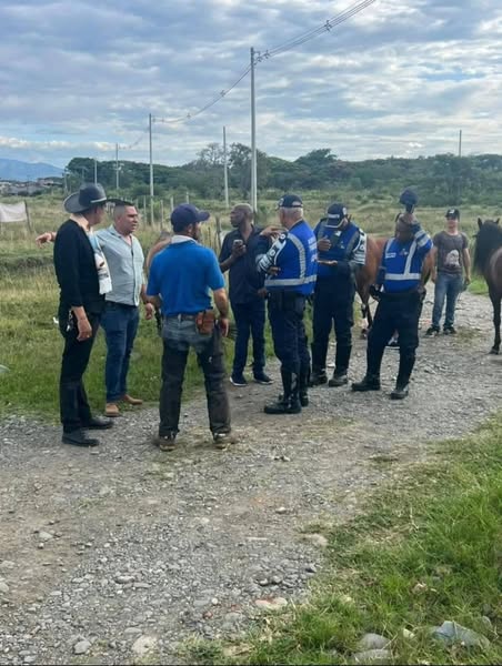 Caballos de 'El Tino' Asprilla se accidentan en vía hacia la Terminal de Tuluá 1 544632709 1555127225870021 514300149748597778 n