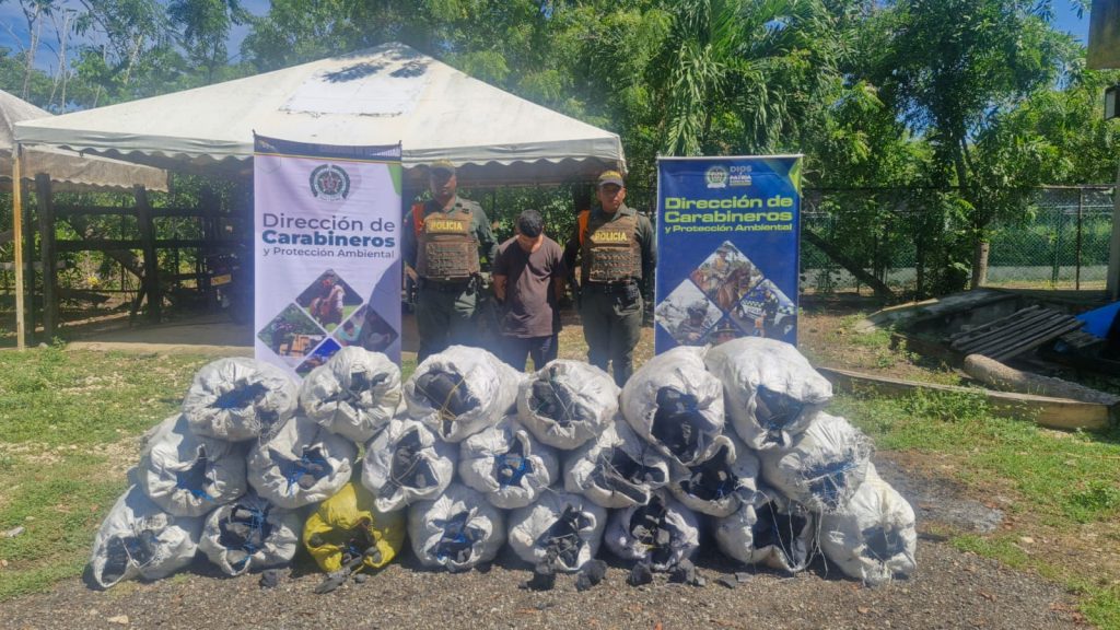 Capturados por transporte ilegal de carbón vegetal 1 e330e64b a34b 44ab 9c75 a82b30ad5d3c