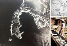 ef4e017b 830a 46c5 8c0d 6b1021a032e4 126