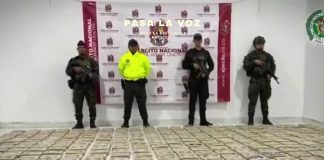 Golpe al narcotráfico en el Cauca: incautan casi media tonelada de marihuana tipo “creepy”