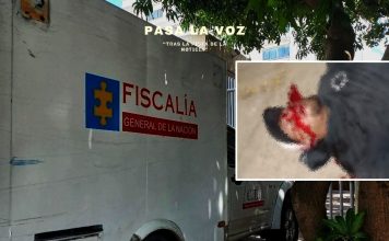 Asesinan a cobradiario de 26 años en el barrio Carrizal: sicarios le dispararon frente a la “Cancha los Burros”