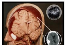 393ec727 5a55 4c83 bc06 dcc9a3c00ee1