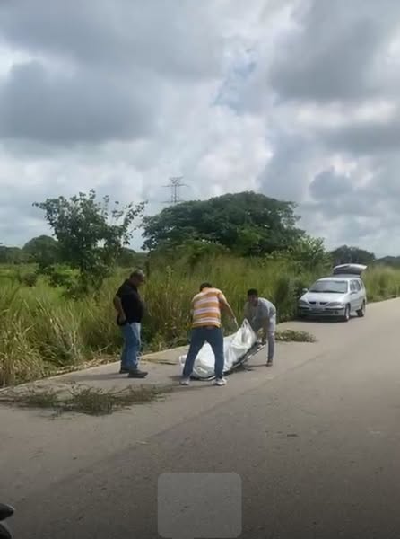 558750351 122185624190507164 553170347890261791 n