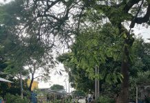 59ceeeee 53c1 48f6 abd9 5b6ceb1e7779