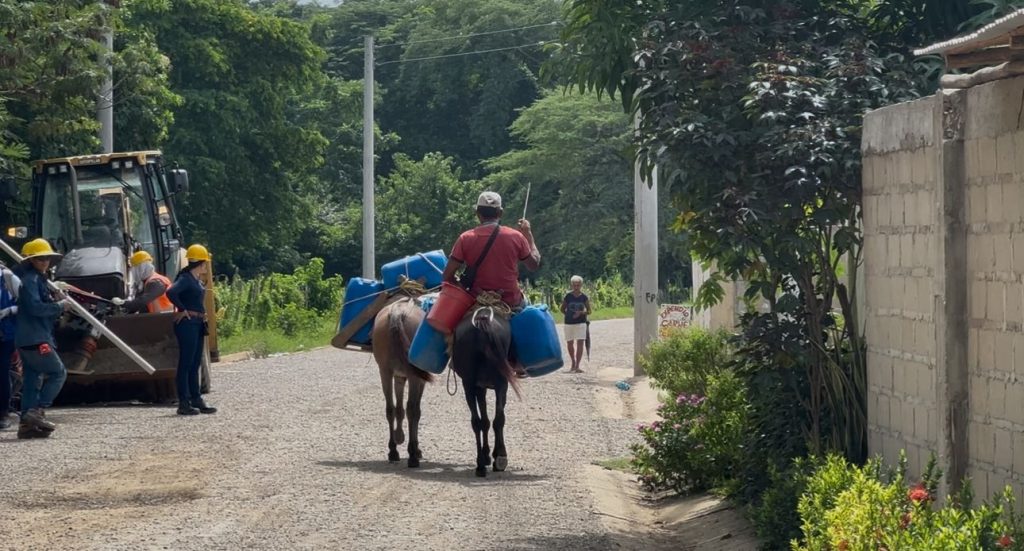 El Burro, un símbolo del pasado en Mompox 1 7aa6cabd 928f 4fec b2d7 a7ae4b760d7f