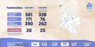 Alerta por violencia de género en Colombia: 76 feminicidios y más de 23 mil casos de violencia e delitos sexuales en 2025
