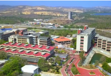 articles 425966 foto g 2