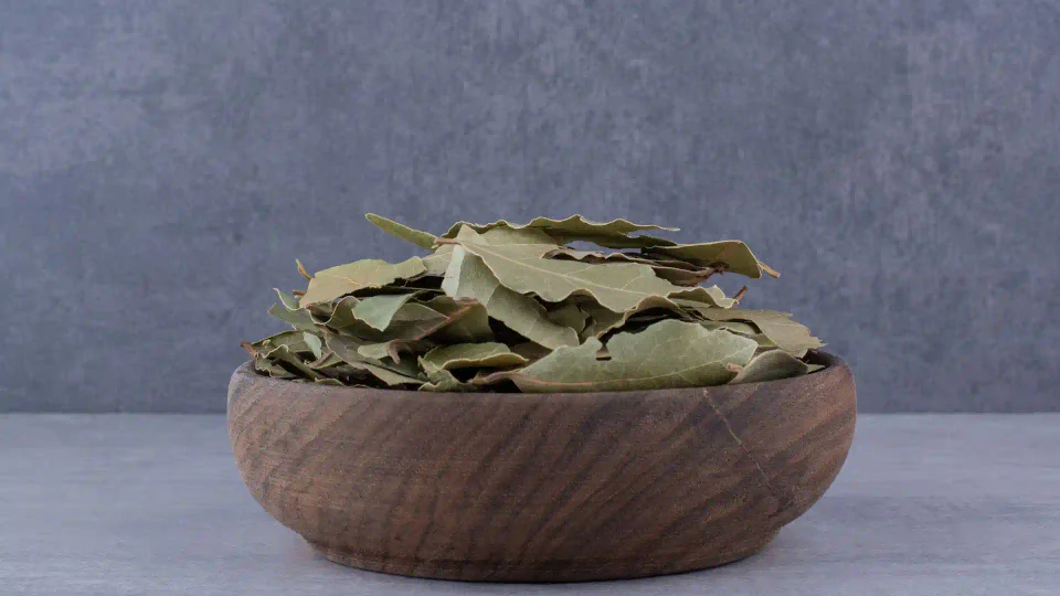 beneficios de hervir las hojas del laurel