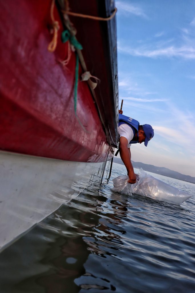 FAO reconoce al ‘Plan + Pescao’ del Atlántico por su aporte a la sostenibilidad acuática y la pesca artesanal 3 c3498ee6 c5f8 4d4d be70 a3d22c3cf2e5