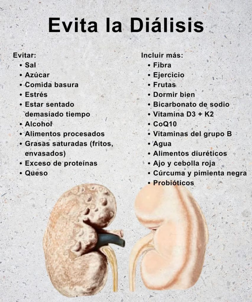 Cómo cuidar tus riñones y prevenir la diálisis de forma natural 1 c5f67b47 0894 4139 a828 184ba741735e