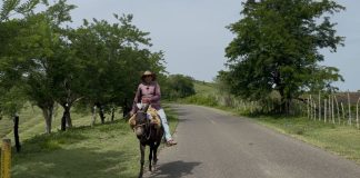 El Burro, un símbolo del pasado en Mompox