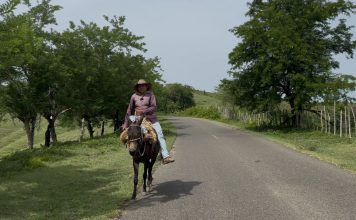 El Burro, un símbolo del pasado en Mompox
