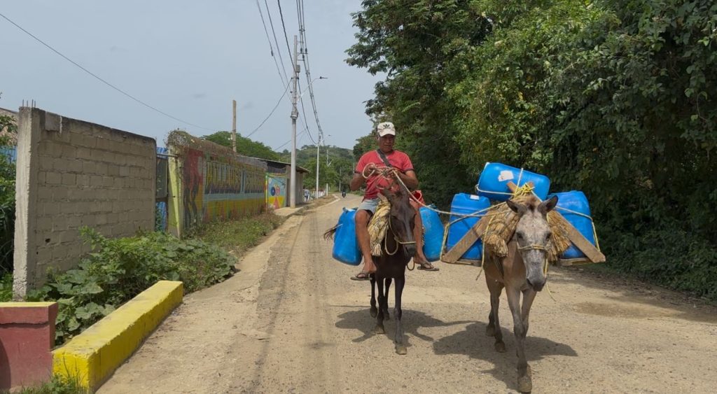 El Burro, un símbolo del pasado en Mompox 2 d5a2f7ee 68eb 49fa bba7 f5a6d66c9ed5