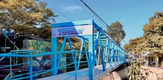La bailada del indio del alcalde Carlos Pinedo con el puente peatonal más costoso del mundo