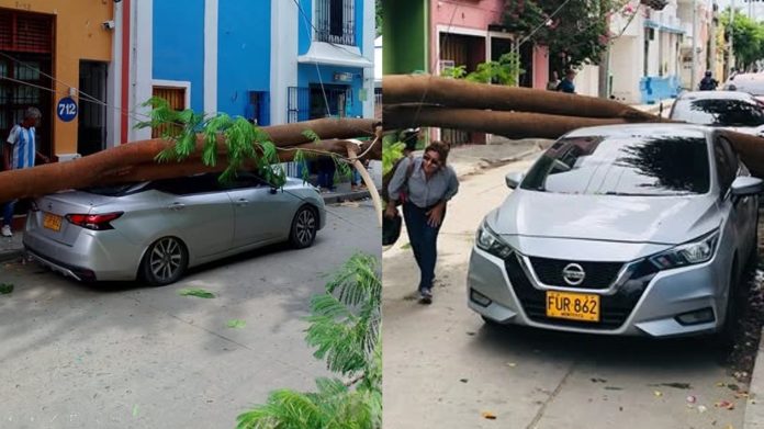 ef4e017b-830a-46c5-8c0d-6b1021a032e4