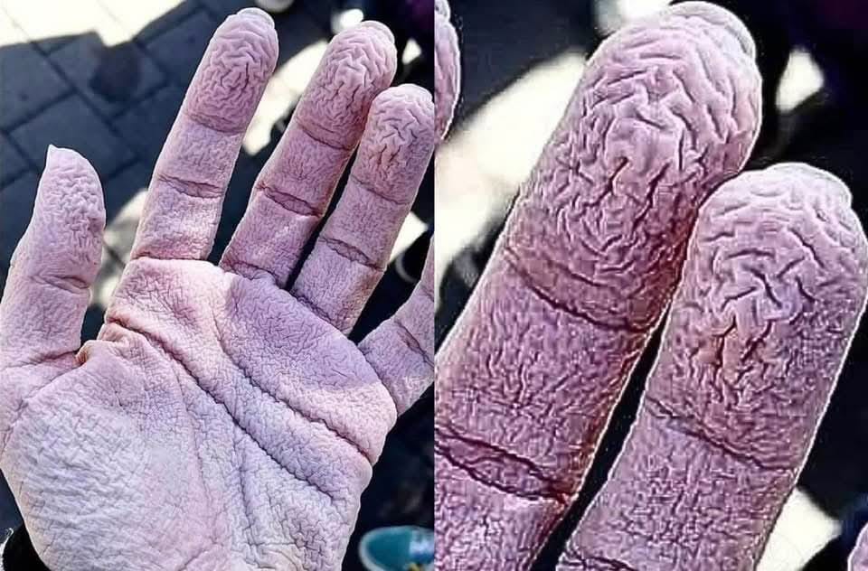 fcb781fa 97aa 40b1 8564 e4a9bd3202de