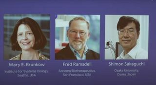 Nobel de Medicina 2025 premia los “guardianes del sistema inmunitario”: claves para tratar el cáncer y las enfermedades autoinmunes 1 image 25