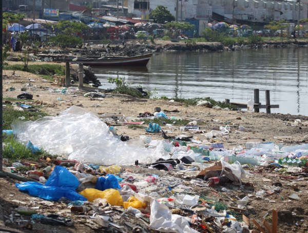 Río Magdalena, el gran contaminante del Caribe: arrastra 18.000 toneladas de plástico al mar cada año 1 image 75