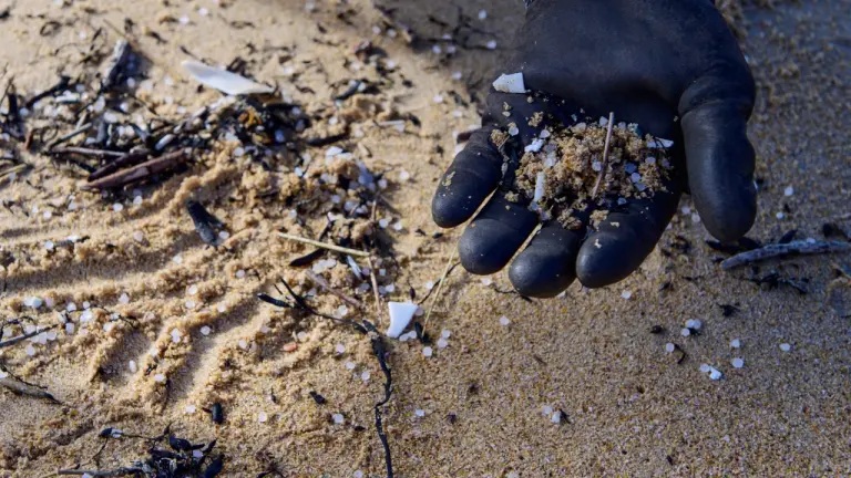 Río Magdalena, el gran contaminante del Caribe: arrastra 18.000 toneladas de plástico al mar cada año 2 p 78